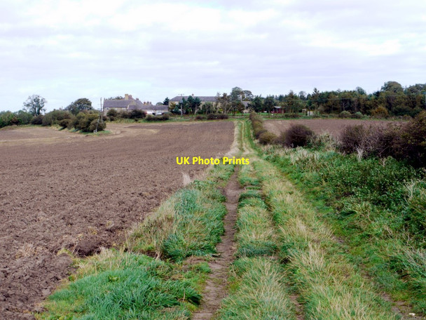 Photo 6"x4" Footpath near High Mickley Prudhoe c2011