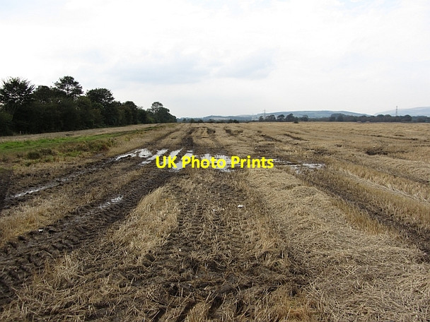 Photo 6"x4" Waterlogged field by Inchbelly Bridge Kirkintilloch c2011