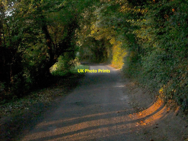 Photo 6"x4" Green tunnel (2) Houghton\/TQ0111 c2011