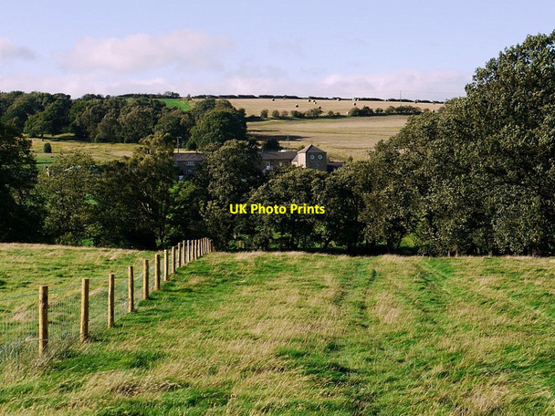 Photo 6"x4" Bridleway south of Durham Riding Prudhoe c2011