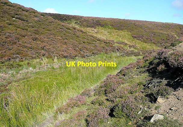 Photo 6"x4" Rosedale railway Church Houses c2011