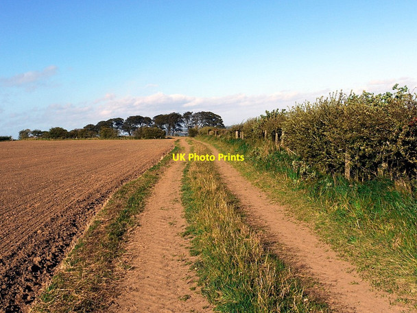 Photo 6"x4" Bridleway to Prudhoe Prudhoe c2011