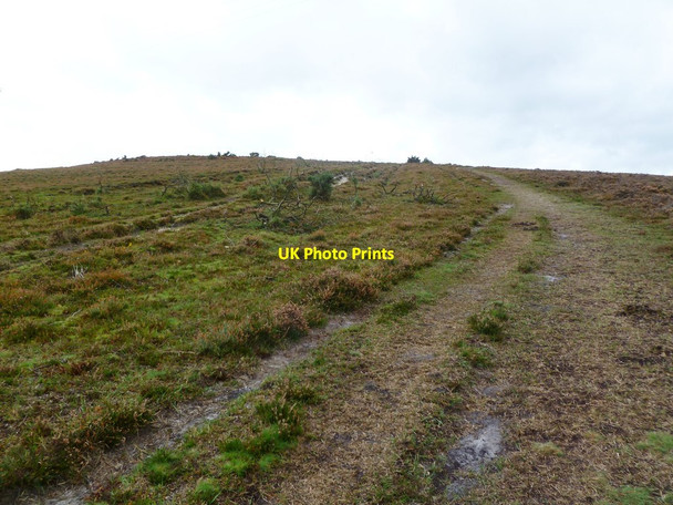 Photo 6"x4" Shappen Hill Bisterne Close c2011
