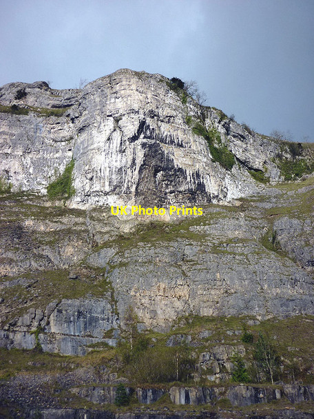Photo 6"x4" White Scar Beck Head\/SD4484 c2011