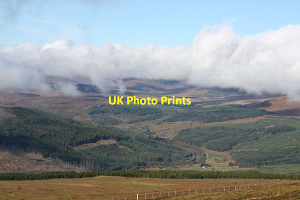 Photo 6"x4" Moorland and forest below Little Wyvis Tom na Caillich c2011