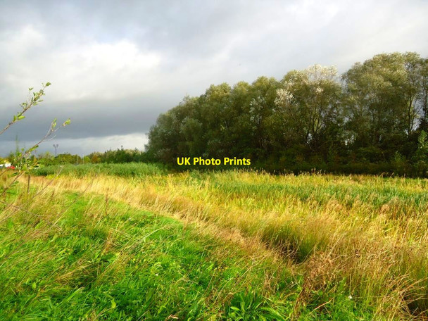 Photo 6"x4" Stirling, wetland Stirling\/NS7993 c2011