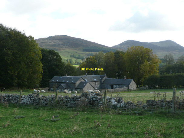 Photo 6"x4" Strathgarry and sheep Aldclune c2011