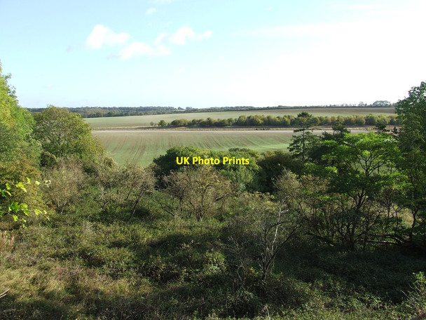 Photo 6"x4" Cambridgeshire Countryside Ditton Green c2011