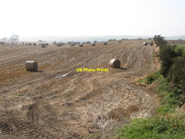 Photo 6"x4" Straw bales in a field alongside the Ballynoe Road Downpatrick c2011