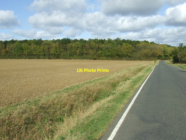 Photo 6"x4" Ditton Park Wood Kirtling c2011