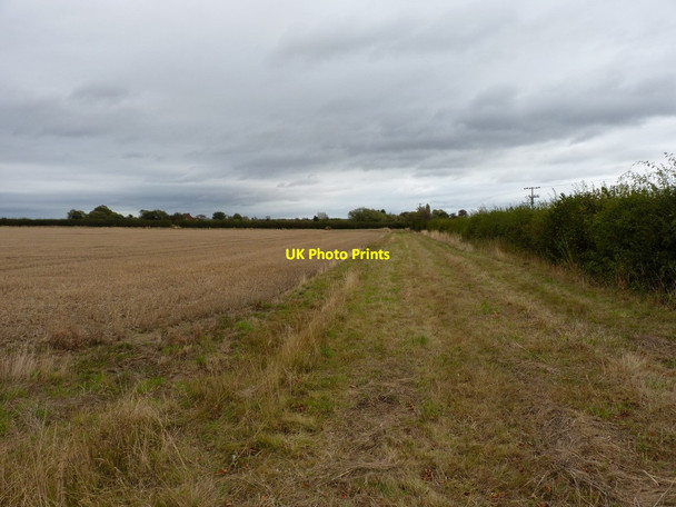Photo 6"x4" A footpath at the field edge Allscott c2011