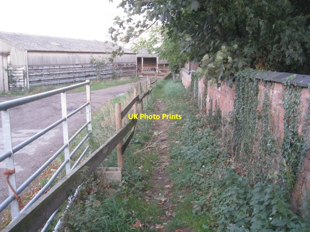 Photo 6"x4" Footpath to the Trent Grassthorpe c2011