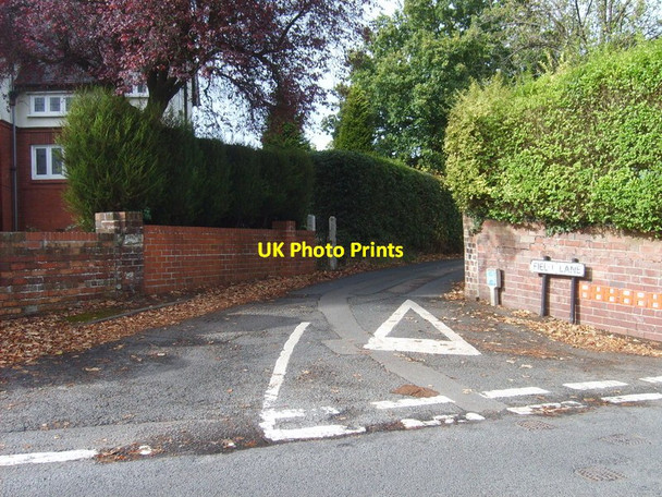 Photo 6"x4" Field Lane Lower Clent c2011