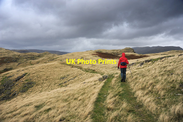 Photo 6"x4" Footpath to Swinescar Hause Grasmere\/NY3307 c2011