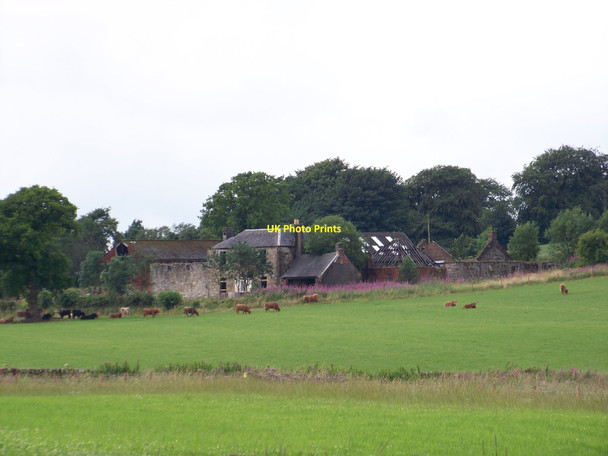 Photo 6"x4" Drumcross Farm Erskine c2010