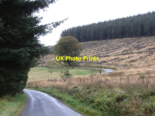 Photo 6"x4" Glen Moy road Dykehead\/NO3860 c2011