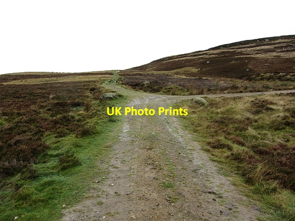 Photo 6"x4" Estate road under Craigthran Rottal c2011