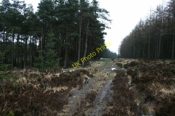 Photo 6"x4" Track in Cropton Forest Stape c2008