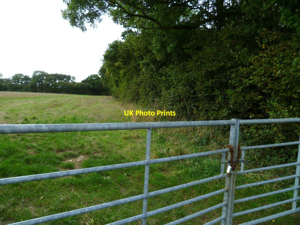 Photo 6"x4" The southern edge of Little Twinley's Copse Cole Henley c2011