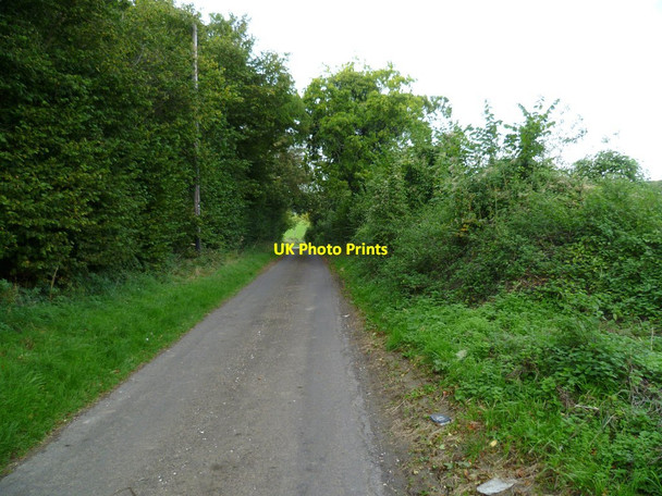 Photo 6"x4" Watch Lane at Little Twinley's Copse Cole Henley c2011