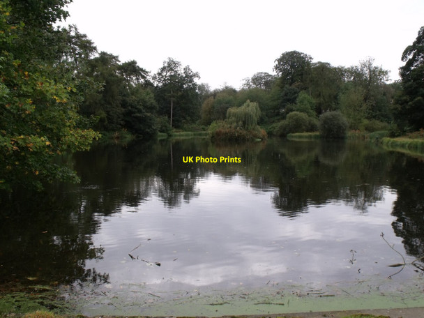 Photo 6"x4" Lake near Holbeck Manor Ashby Puerorum c2011