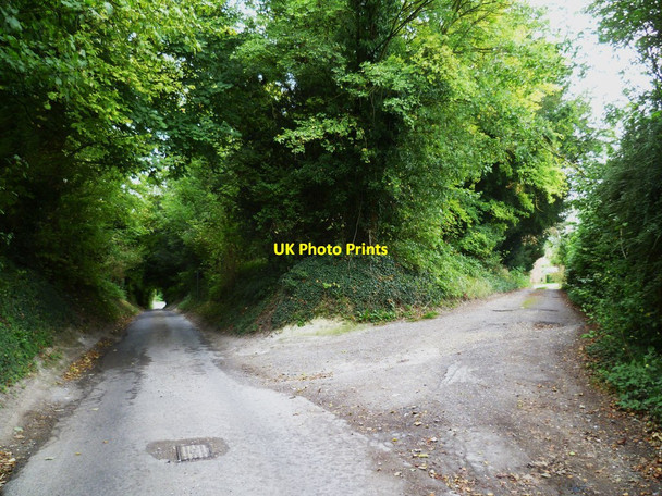 Photo 6"x4" Watch Lane looking south. Freefolk c2011