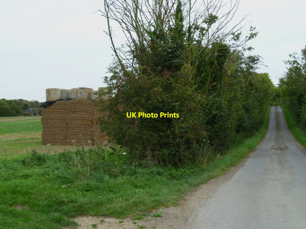 Photo 6"x4" The lane to Home Farm Freefolk c2011