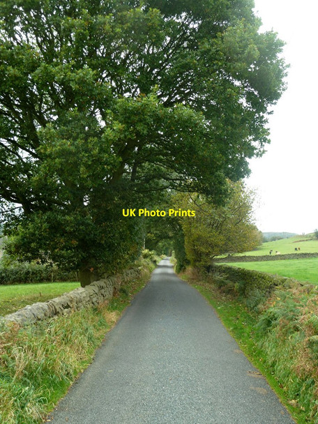 Photo 6"x4" Whitewells Lane\/Road Broadholm\/SK3449 c2011