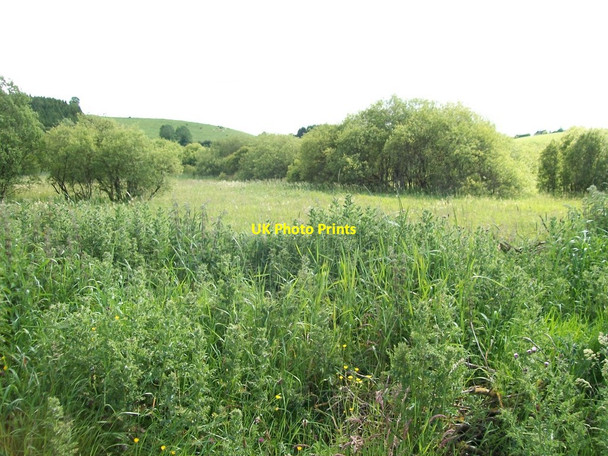 Photo 6"x4" Bogland at Killatee, Co Cavan Madabawn c2011