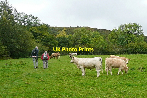 Photo 6"x4" Leaving Rosedale Abbey Rosedale Abbey c2011