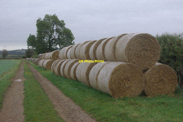 Photo 6"x4" Footpath in the Welland Valley Weston by Welland c2011