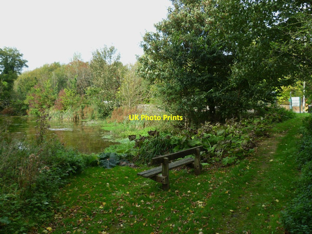 Photo 6"x4" Seat by pond at Laverstoke Laverstoke c2011