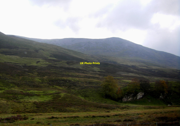 Photo 6"x4" Limestone outcrop on lower slopes of Schiehallion Dunalastair c2011