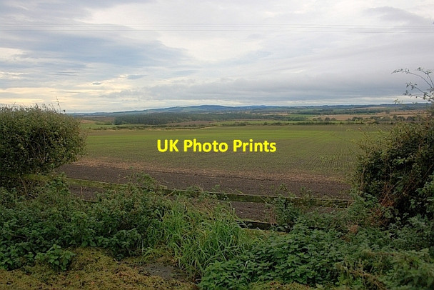 Photo 6"x4" Arable Field Near Unthank Farm Scremerston c2011
