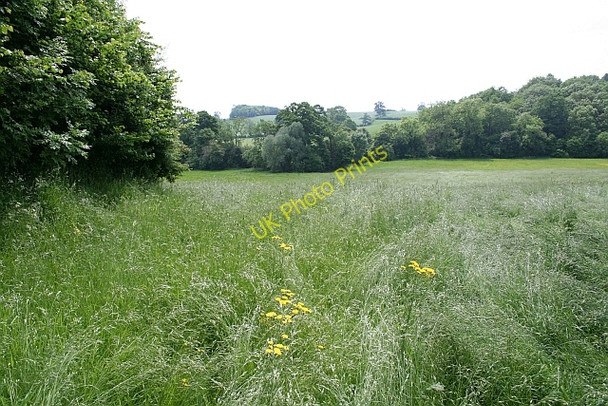 Photo 6"x4" Footpath to Birts Street Birts Street c2008