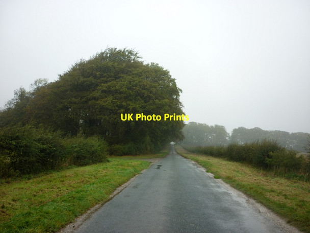 Photo 6"x4" Looking north at Minningdale Warter c2011