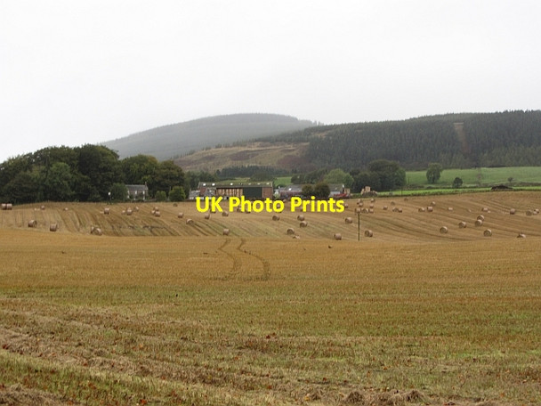 Photo 6"x4" Stubble, Kinallty Cortachy c2011
