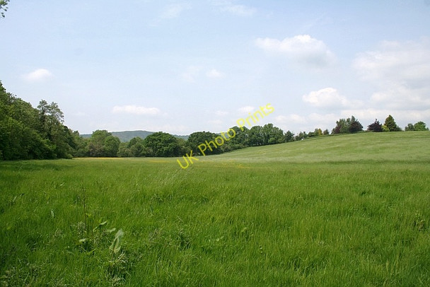 Photo 6"x4" Meadow in Castlemorton Birts Street c2008