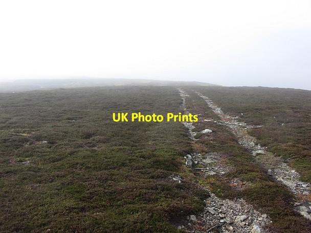 Photo 6"x4" Vehicle tracks, Finbracks Rottal c2011