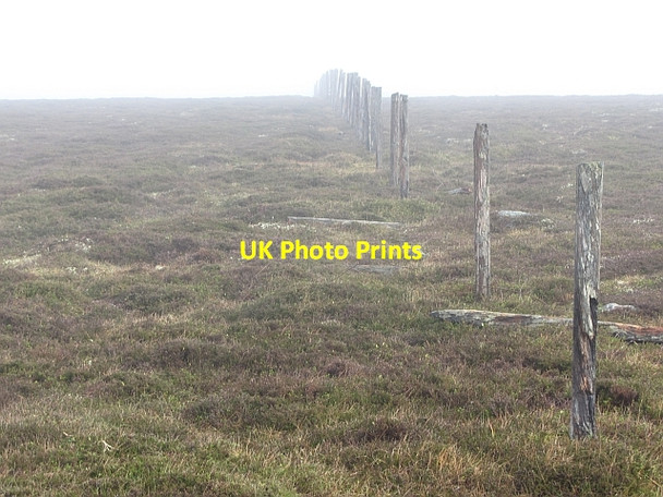 Photo 6"x4" Ruined fence, Finbracks Finracks c2011