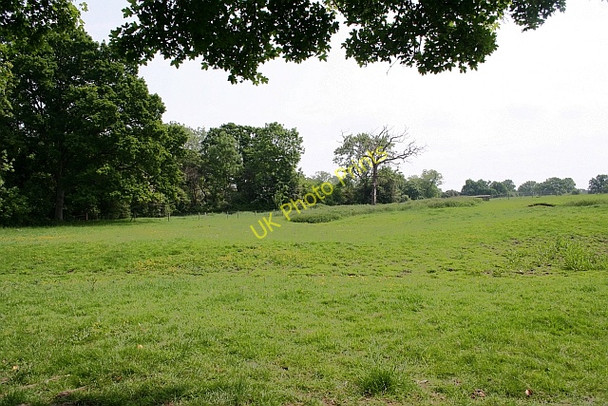 Photo 6"x4" Rough pasture, Castlemorton Birts Street c2008