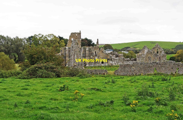 Photo 6"x4" Athassel Abbey, near Lagganstown Golden\/S0138 c2011