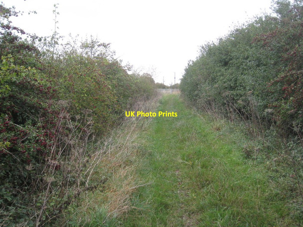 Photo 6"x4" Bridleway near Sotby Sotby c2011