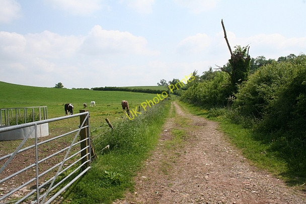 Photo 6"x4" Farm Track, Castlemorton Birts Street c2008