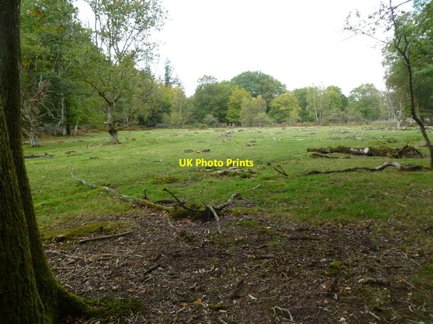 Photo 6"x4" Brinken Wood, clearing Bank\/SU2807 c2011