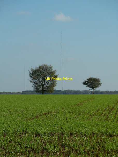 Photo 6"x4" Field, trees, masts Glapwell c2011