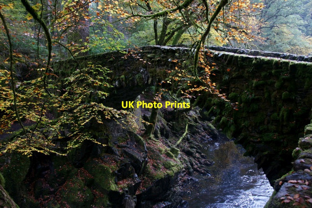 Photo 6"x4" The Hermitage Bridge, near Dunkeld Inver\/NO0142 c2011