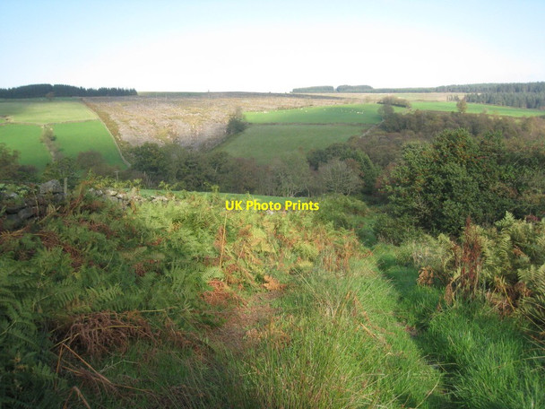 Photo 6"x4" Clear felling above Hartoft Beck Rosedale Abbey c2011