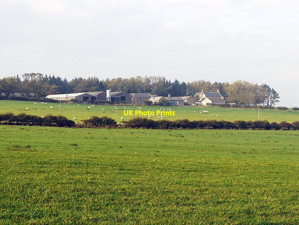 Photo 6"x4" Newtown from south-east Edlingham c2011