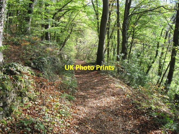 Photo 6"x4" Footpath towards Cromford Matlock c2011